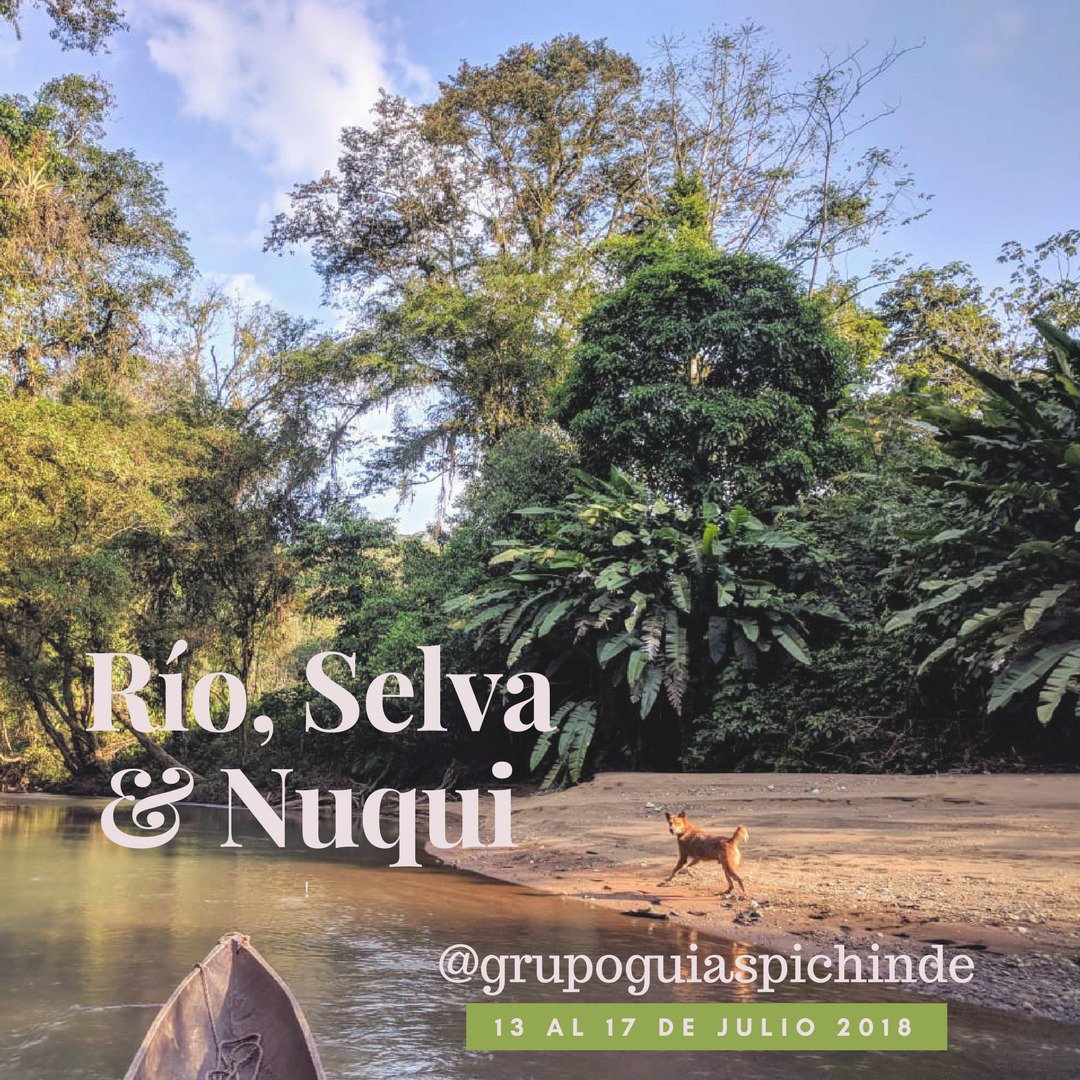 GPichinde's tweet photo. No te pierdas el privilegio de conocer nuestro #PacificoColombiano #Nuquí #Joví te esperamos en el #Chocó https://t.co/i0IclbraTM