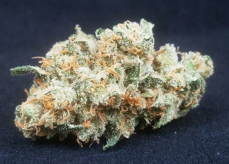 ZenWeHo's tweet photo. Flufgy Nugs Available Now #zenhealing #zenhealingweho #420life #710love #love #710girl #vape #vapepen #vapeworld #hightimes #stoner #thc #thcpics #weedstagram #420mag #420uk #420dabs #420love https://t.co/StmKdCTpwf