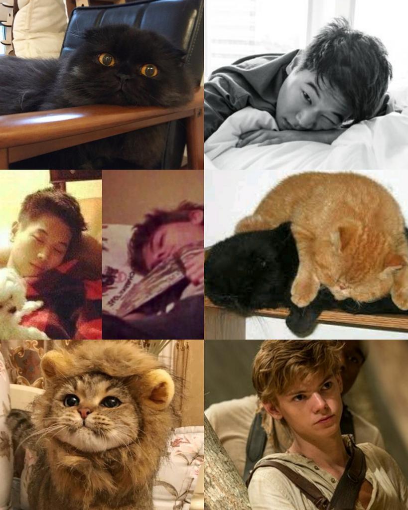Mika_9608's tweet photo. My fantasy 😂😂😂
Minewt like cats😹
#Newt #Minho #Minewt #민호뉴트 #민호 #뉴트 #art #minewtart #KiHongLee #ThomasBrodieSangster #Kimas https://t.co/y0WQF64Uvz