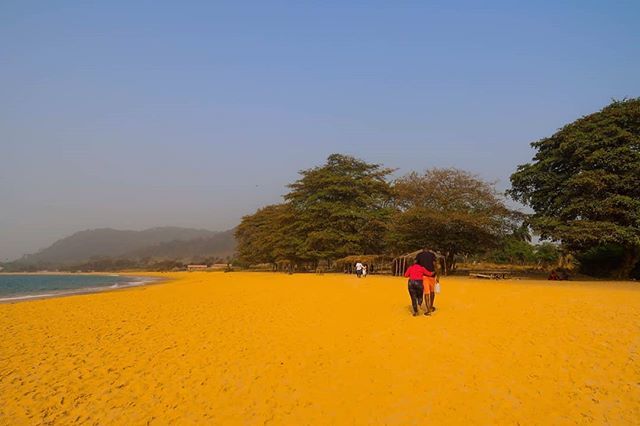 cluelessronin's tweet photo. Happy Friday! Walking down the beach in the warm sun...
I really wish that was me now...
How's everyone's day going?

#sun #beach #beachday #beachtime #justgoshoot #visualsoflife #amateurphotographer #amateurphotography #scenesoflife #myviewoflife #photo… https://t.co/kLZM3dh6xU https://t.co/maC4tmSUla