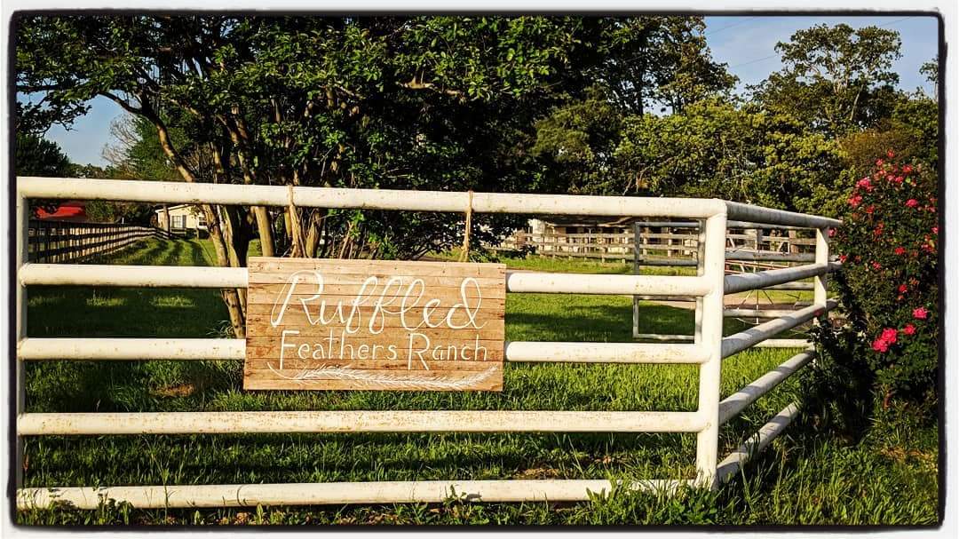 muffingoth's tweet image. #horseranch #easttexas #CantonTX #ranchsign 

Tongue and cheek play on the family name