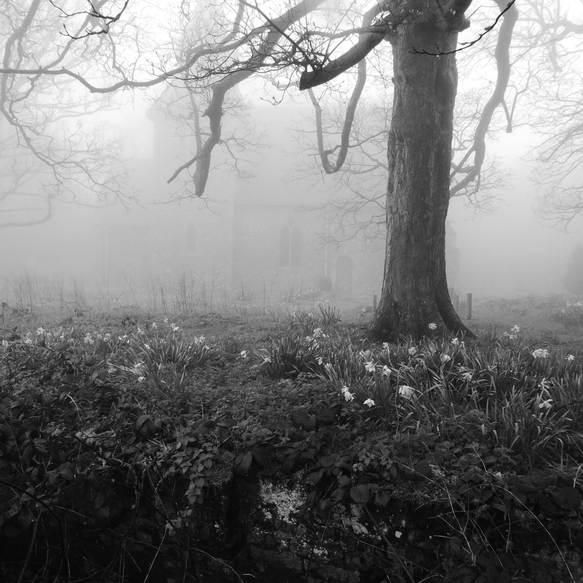 Just the suggestion of a gable, an echo of a spire, materialising surely with each step forward.