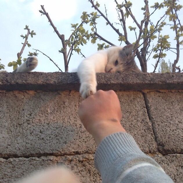 ᵕ᷄≀ ̠˘᷅ tweet media