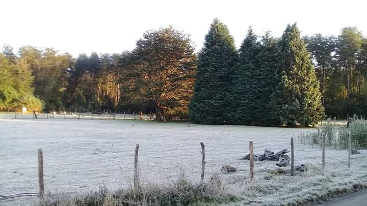 BorquezRafael's tweet photo. #Chiloe, el frio ya se hizo presente en la isla, hoy así amanecío el sector de #Contuy en #Queilen , pampas totalmente blancas, foto Alonso Marío @MetDalcahue @Sernageomin @ELTIEMPO @ClubDecima @CgonzalezMixi https://t.co/GGknygY2ot