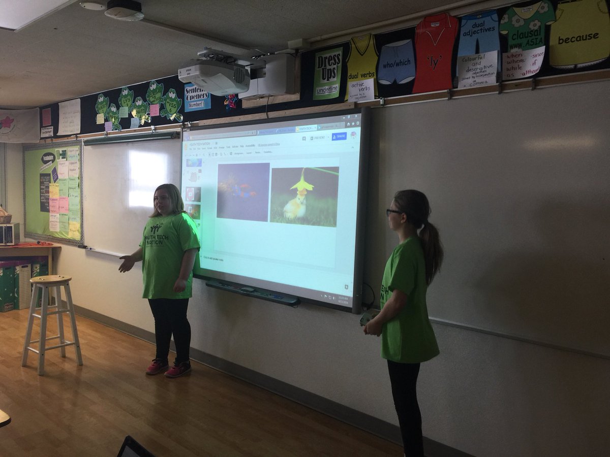 Paula Wilkins tweet media