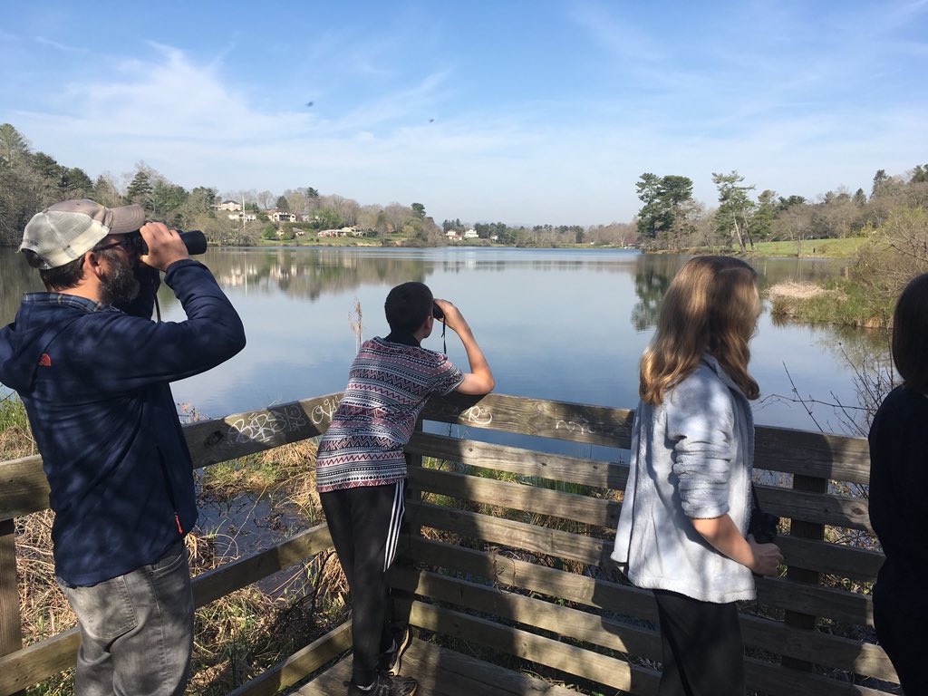 KWeidner1's tweet photo. 8th graders working with local Audubon Society to bird watch and remove invasive species in NAVL #cdslearns @carolinaday https://t.co/co1EBCrJsQ