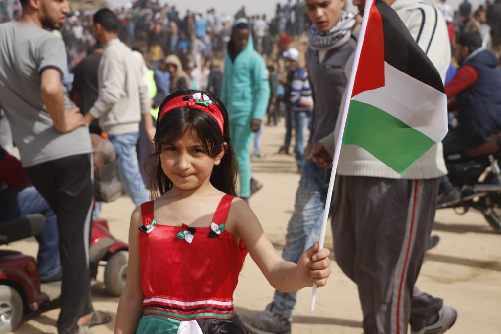 B'Tselem בצלם بتسيلم tweet media