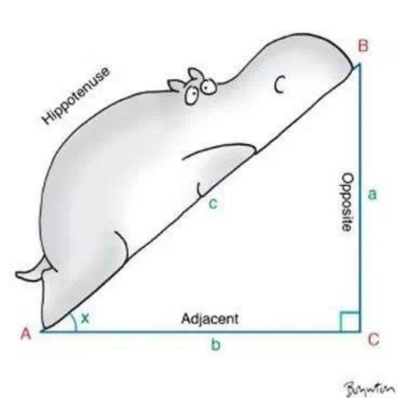 centerofmath's tweet photo. The three sides of a right triangle! #FunFriday #DoMath https://t.co/iZmZZCKbpC