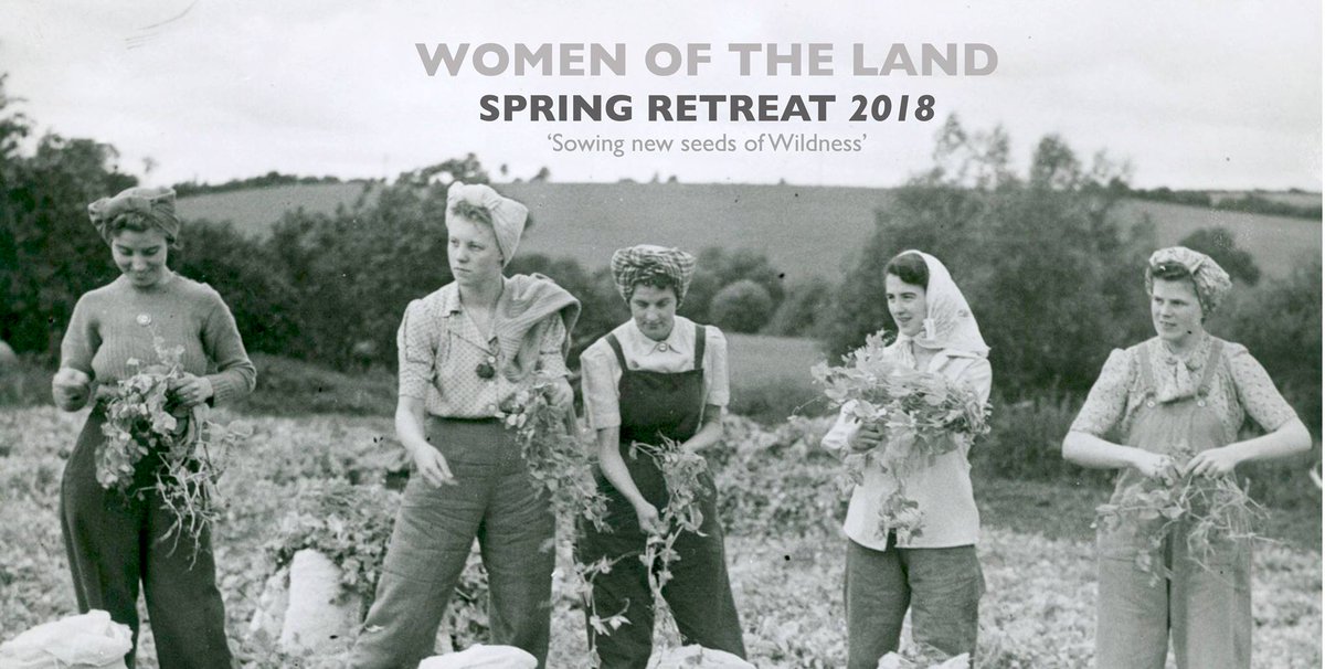 The Gathering Fields tweet media