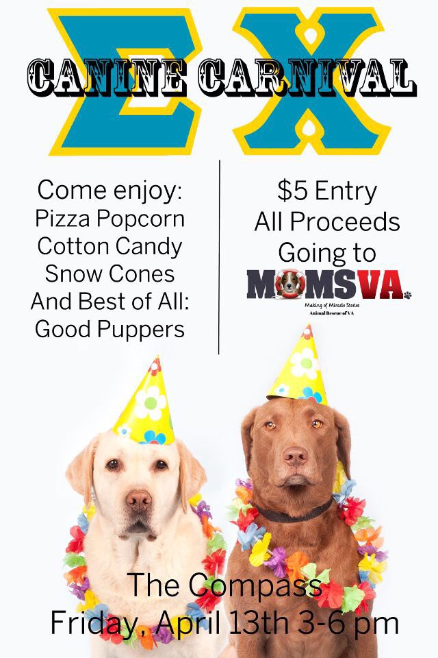 TODAY’S THE DAY! Canine carnival is finally here, come out to support Sigma Chi &amp; MOM’s VA Dog Rescue at the compass from 3-6!There will be popcorn, cotton candy, puppies up for adoption🐶, and more! Hope to see you there!