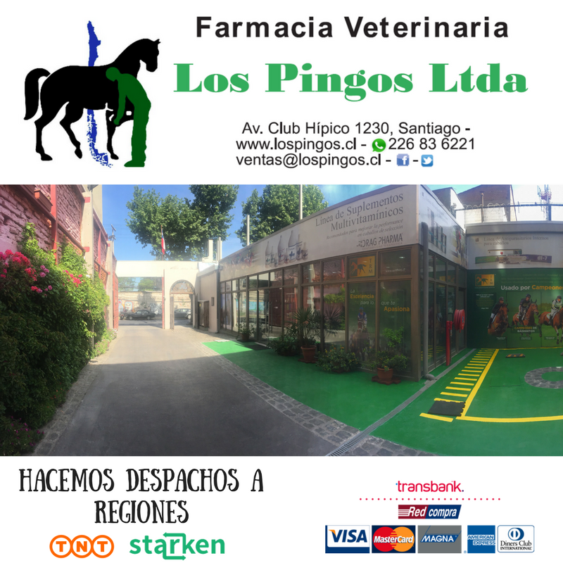 LosPingosLtda's tweet photo. #FarmaciaVeterinaria #LosPingos #caballo #equino #pingo https://t.co/ulOu541VBG