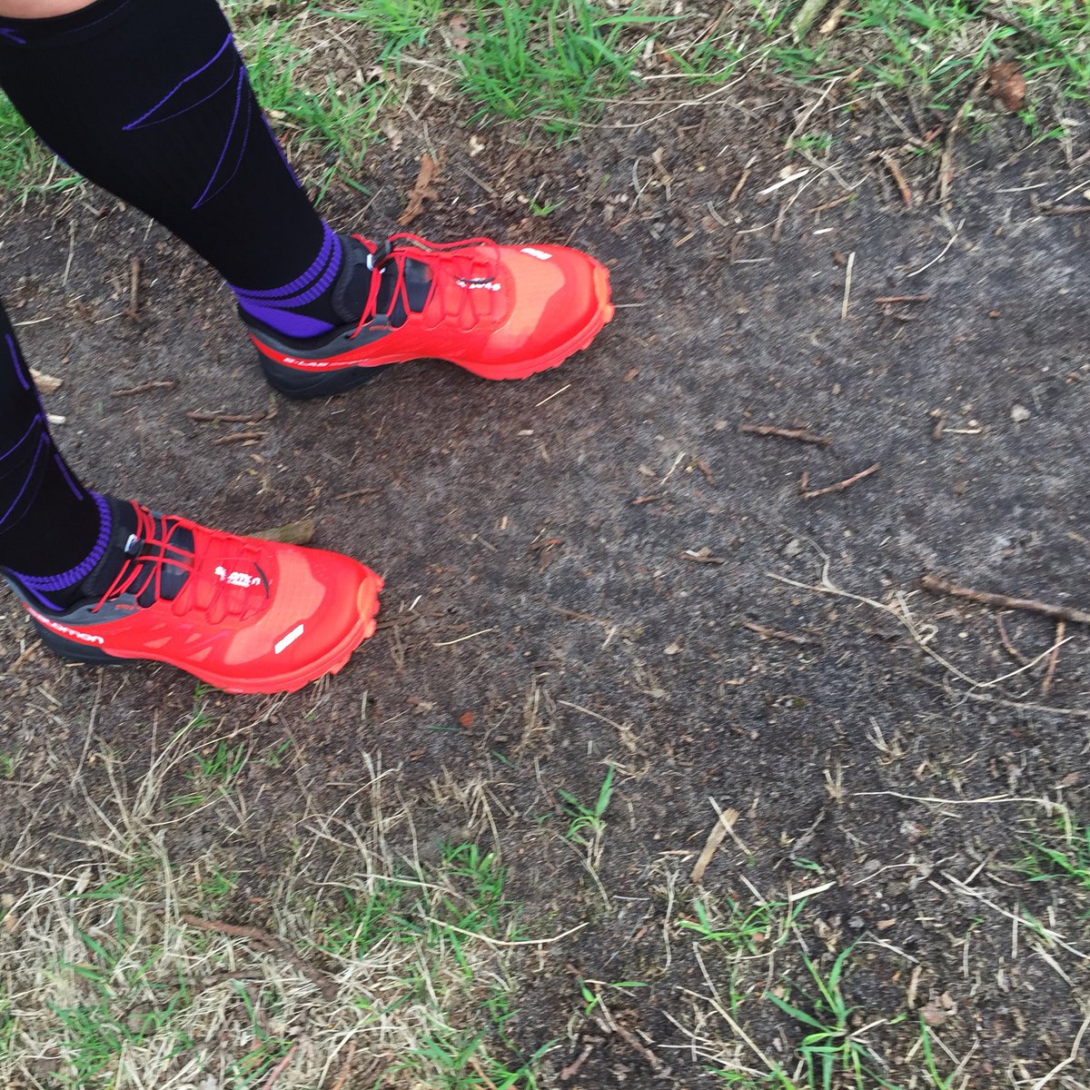 MyDailyGarbage's tweet photo. Meteen na mijn werk even geploeterd op het ruiterpad en over de bospaden met mijn nieuwe trailrunschoenen #trailrunning #Iloverunning https://t.co/AAnvmc8s9S