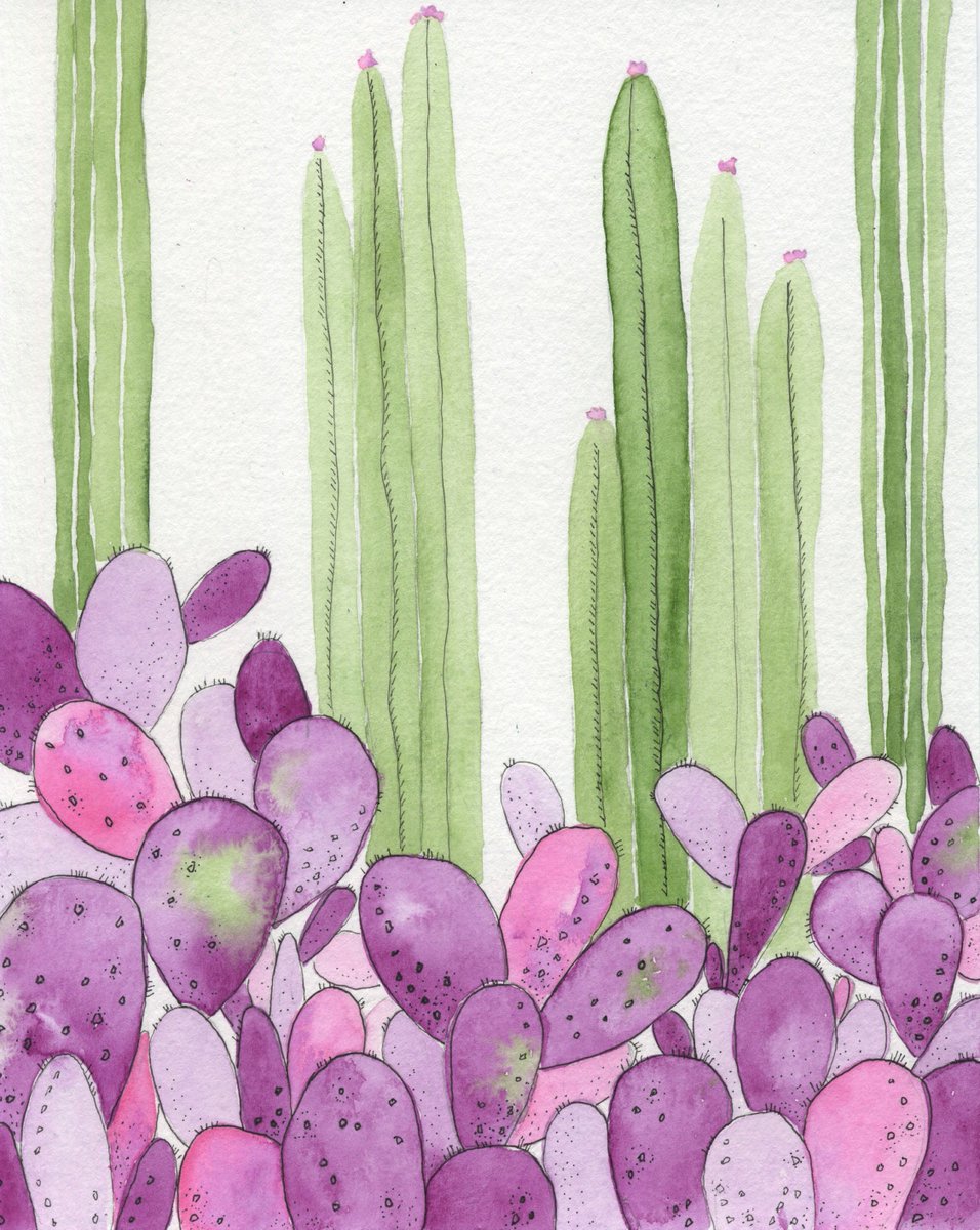 CortBenvenuto's tweet photo. Wasn't happy with my first #colour_collective so I did another :) #Mexican Pink
Day 11/100 #The100DayProject #100dayproject #100daysCB_art #picturebook #childrensbooks #traditionalart #illustration #Cactus #cacti #desert #garden #kwillustrator #cortneybenvenutoillustration https://t.co/6slrbny5GV