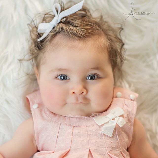 amymccallphoto's tweet photo. I can't even... #amymccallphotography #thosecheeksthough https://t.co/bVGNVOpgze https://t.co/Cb43LDdKxD