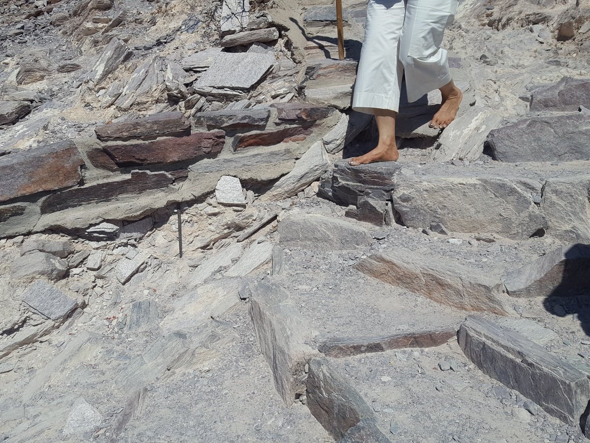 MoW_US's tweet image. Blood cannot wash away blood. Hate cannot wash away hate. War cannot wash away war. 

#blastradius #datahumanization #notatarget