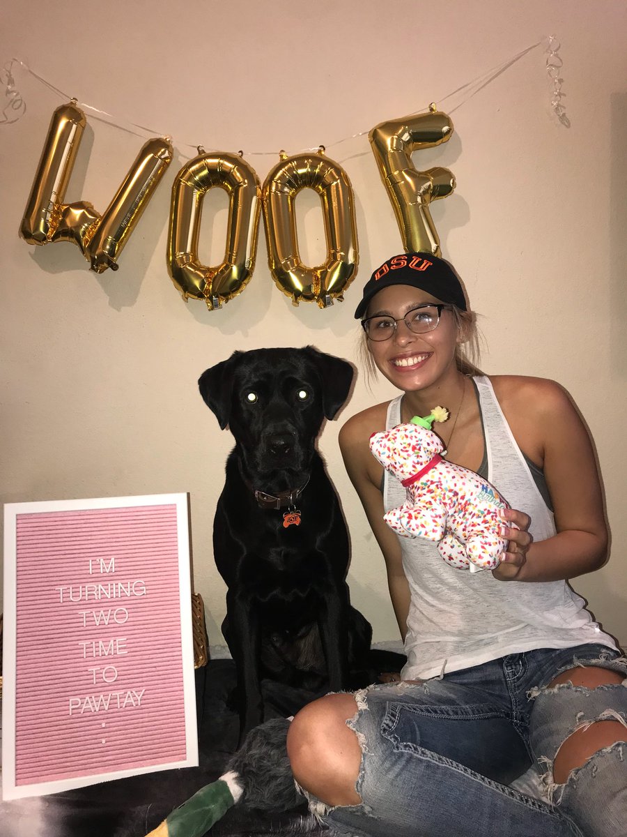 maddieb_3's tweet photo. No apologies for being extra af, Happy 2nd Birthday to my sweet fur child🐾💙 https://t.co/ccdyiaZHrv