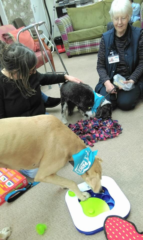 Today we visited the residents of Hengrove Lodge in South Bristol where we always have great fun!
Thanks for volunteering today Andrea &amp; Jill.
#AnimalAssisted #Bristol #AgeingBetter #Agefriendlycity