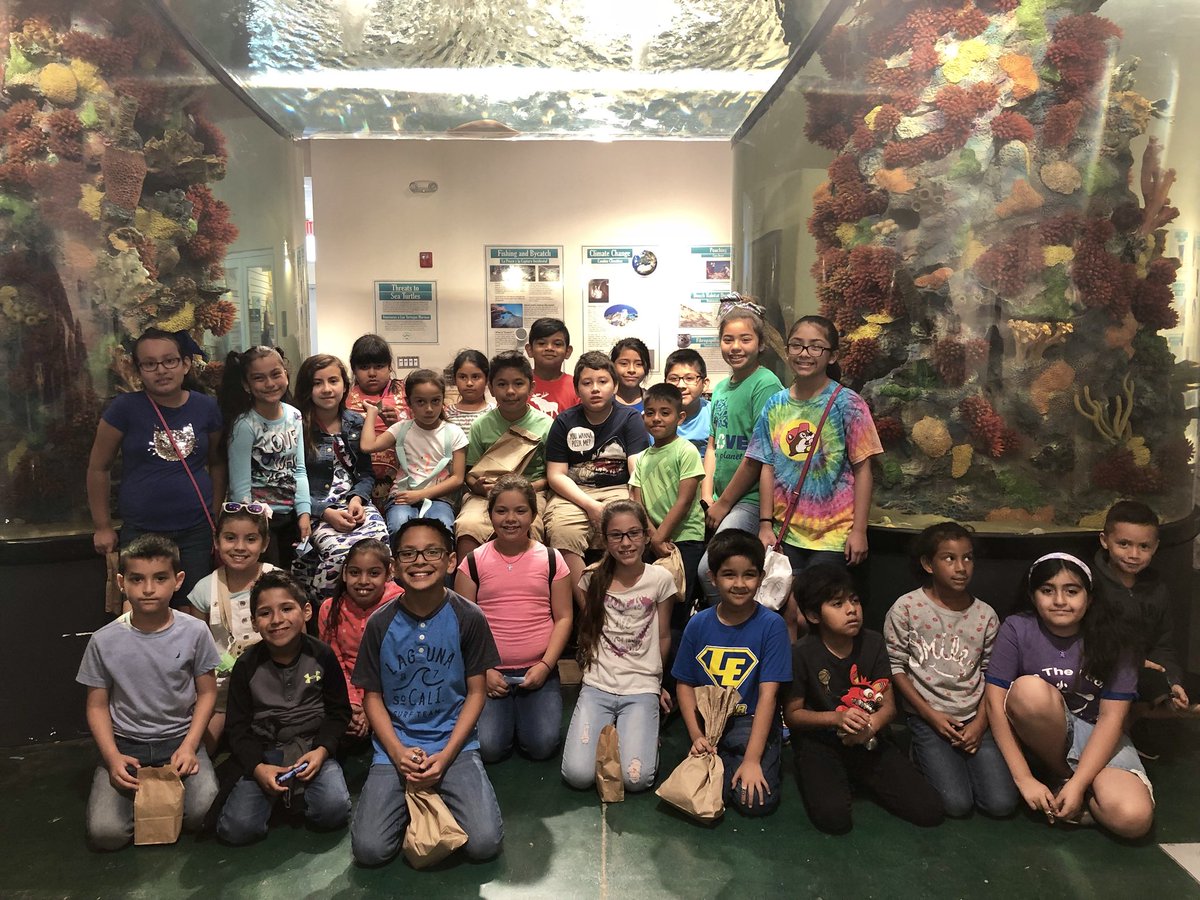 iMissGo's tweet photo. @LamarEagles #3rdGradeDual at our @SeaTurtleInc #rewardfieldtrip! #lovetheturtles #helptheturtles #spi https://t.co/Gw1G7fHwgD