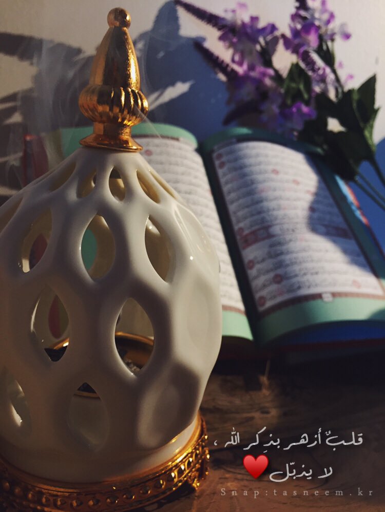 تسنيم💛💭 tweet media