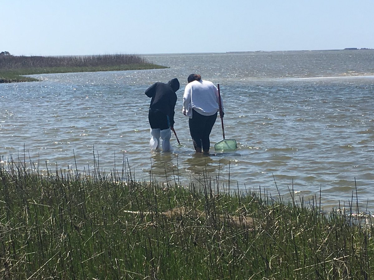 Jamilah Bullock tweet media