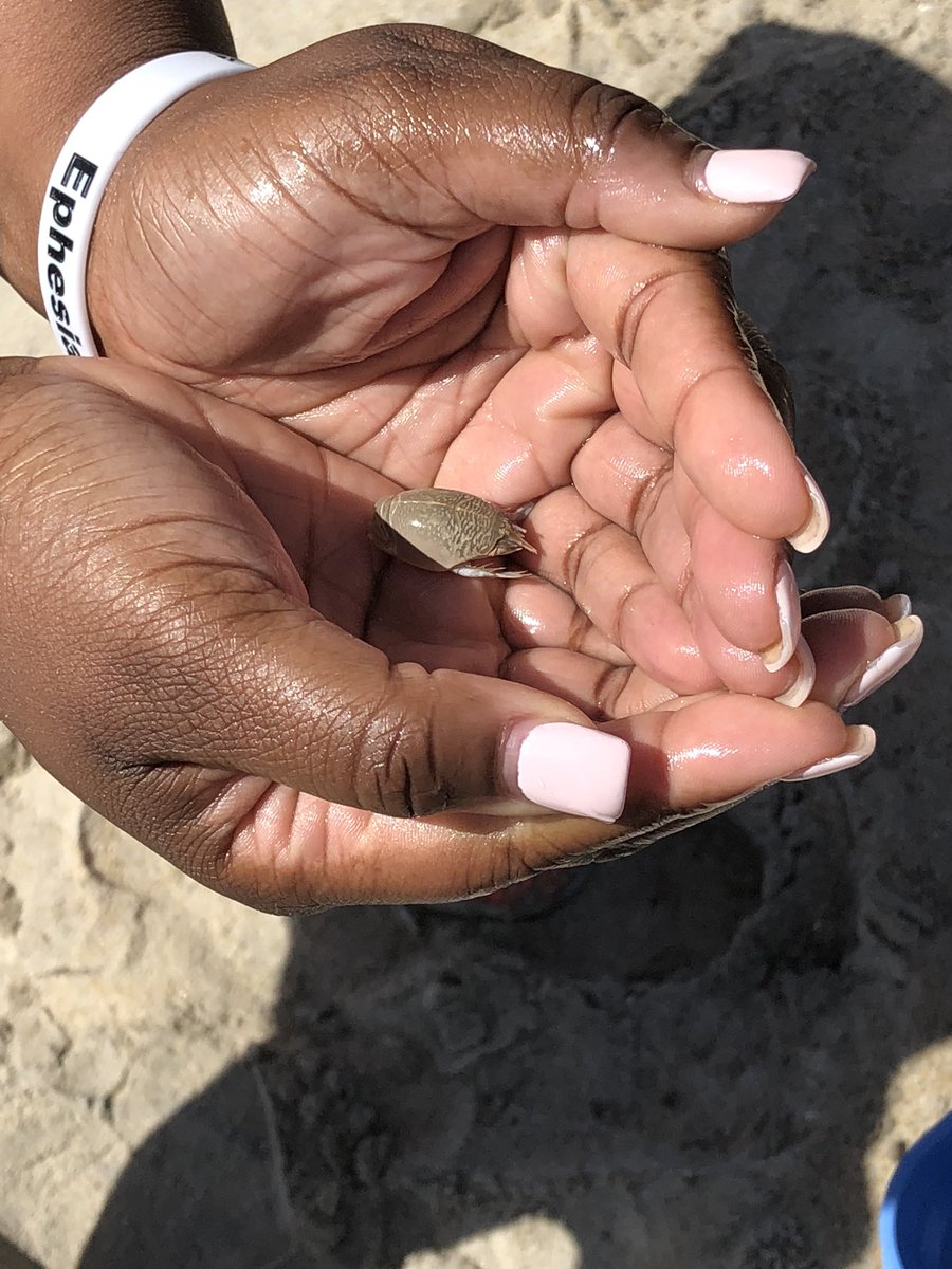 Jamilah Bullock tweet media