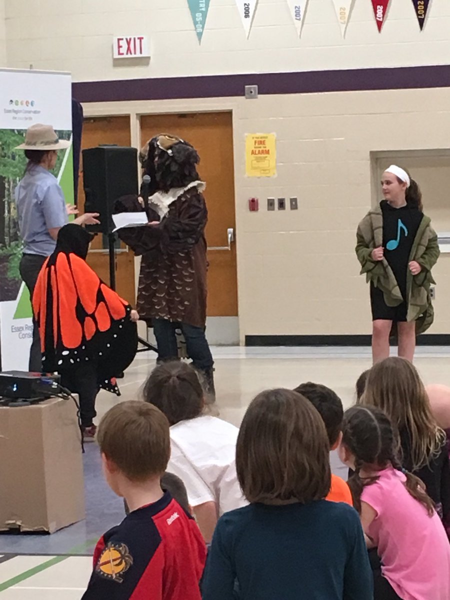 The turtle, the monarch and the owl tell us all about where the water goes!