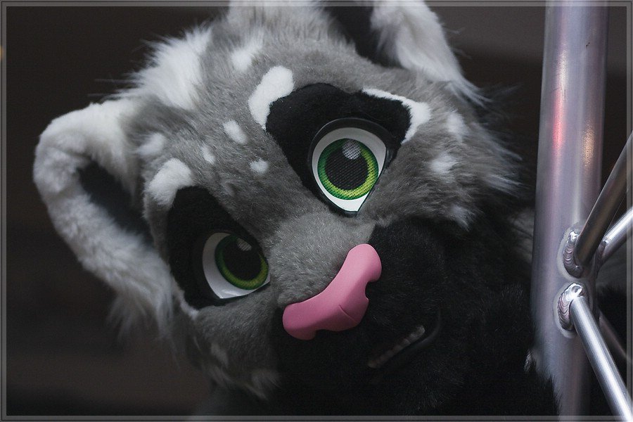 new_einstein's tweet photo. *mows at you*

This #FursuitFriday photo was taken at @colognefurdance 13 (2014) ... but I sadly don't remember who was the photographer https://t.co/mLPsqDYWQD