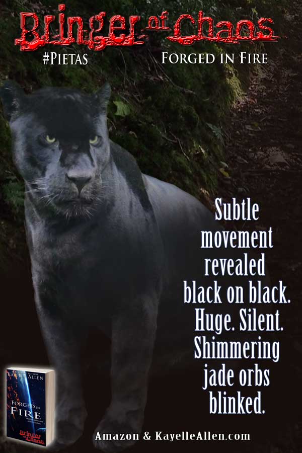 kayelleallen's tweet image. Tiklaus the #Cat from Bringer of Chaos #SciFi #WritModAge bit.ly/2qugrZD