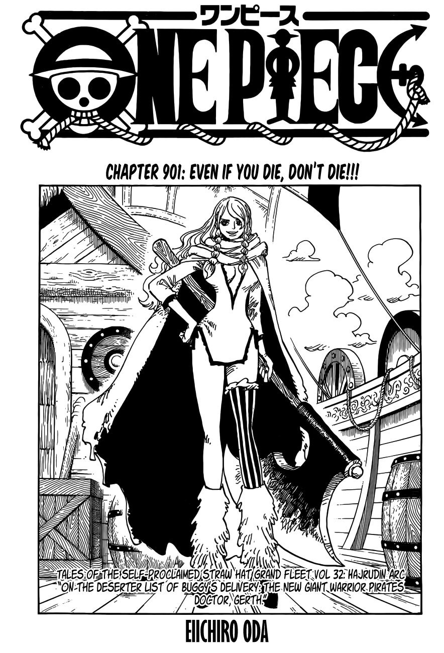 One Piece Manga Chapter Predictions 