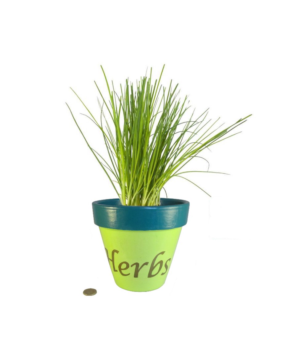 New today: A herb pot for the kitchen window sill. Green Herbs Pot, Painted Terracotta Pot, Plant Pot, Flowerpot, Hand Painted Planter, Gardener Gift, Housewarming Gift, Fathers Mothers Day etsy.me/2Hh1mnR via <a href="/Etsy/">Etsy</a>