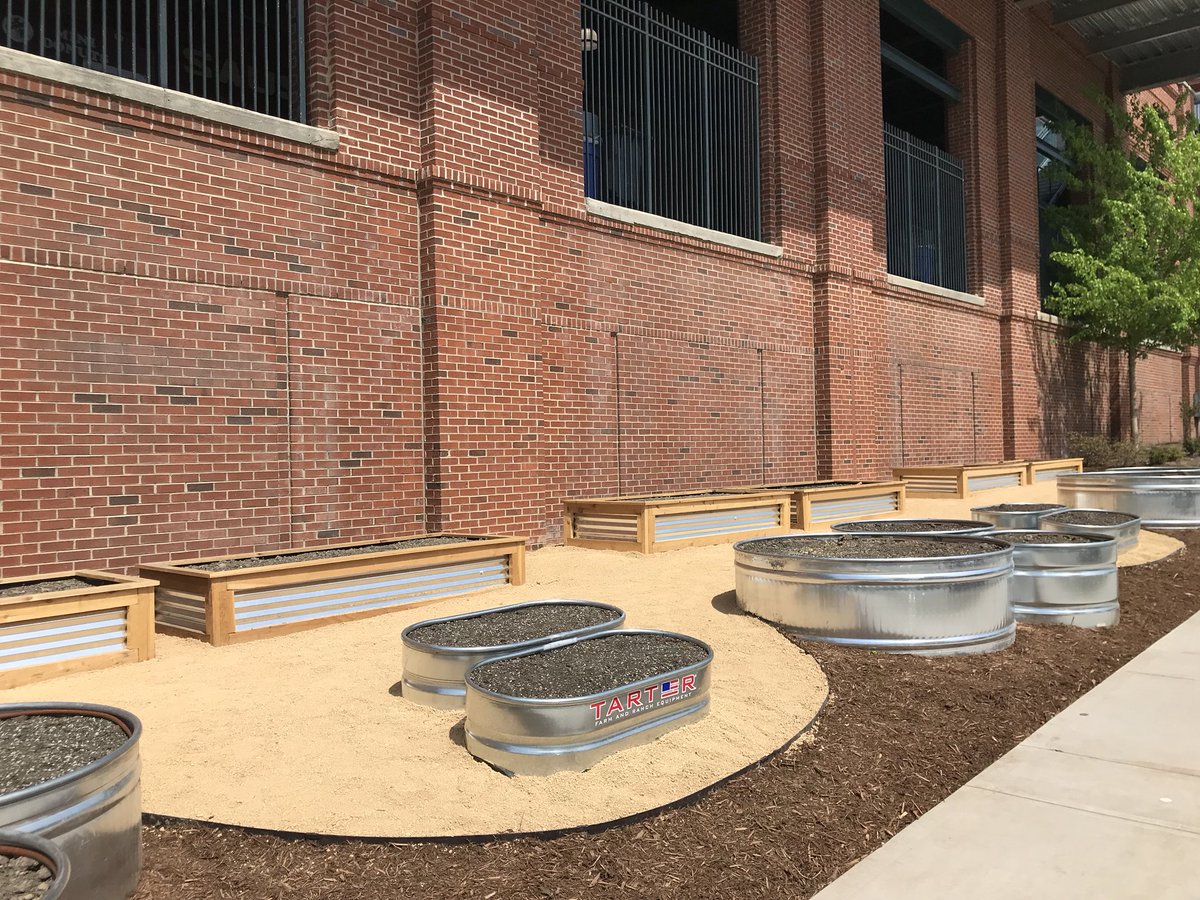 gwh3's tweet photo. Our Victory Garden @DurhamBulls is coming together just in time for the planning season! Thx @FoodShuttle @BCBSNC @gothrivenc https://t.co/RazdfX5OBR