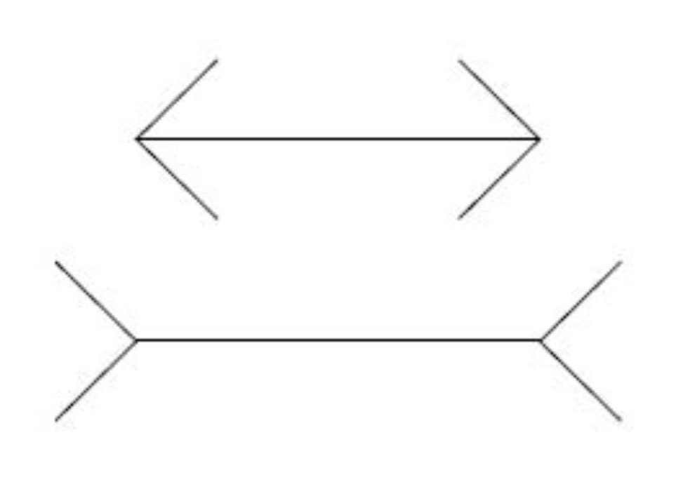 FatCatWatch's tweet image. Not all illusions are visual