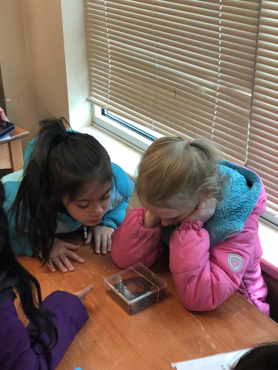ms_baldwin24's tweet photo. Awesome trip at the Butterfly Pavilion! Perfect intro for our new unit on plant and animal interdependency. #butterflies #2ndgrade #fieldtrip @stemschoolHR https://t.co/p6oLf92kbF