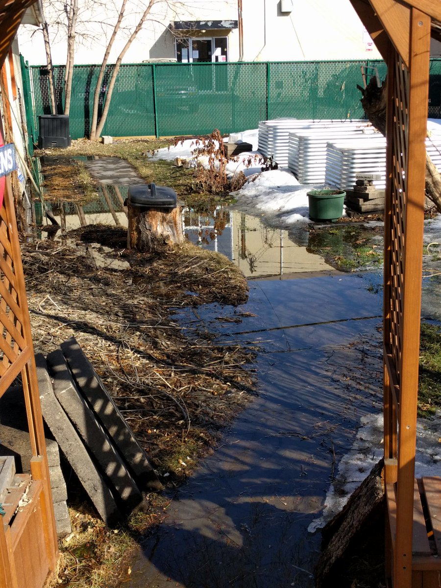 k_humpy's tweet photo. That magical time of year when my yard turns into a lake. #springtime #nomoresnow #backyardlake #yeg https://t.co/0AYuQY98Hr