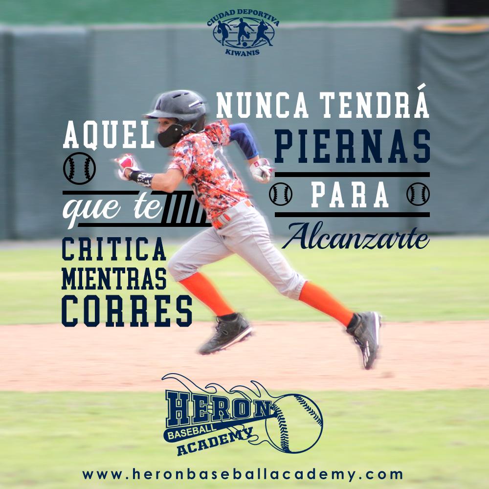 heronbaseballacademy tweet media