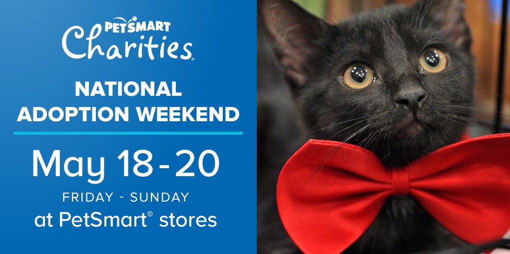 jeffaburleson's tweet photo. Ready to #adoptlove ? Come meet adoptable pets @ any @PetSmart store May 18-20 for @PetSmartChariTs National Adoption Weekend! https://t.co/hKcXbK9JDT