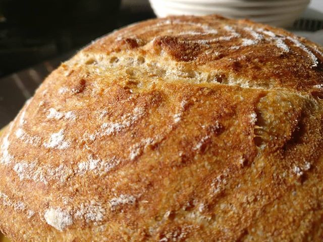 donaldm314's tweet photo. I'm happy with the look of this one.

#yyc #photography #freshbreadfriday #freshbread #noknead #nokneadbread #bread #breadbaking #breadlife https://t.co/h0YmDbFdUy https://t.co/9Jg1rvg4O8