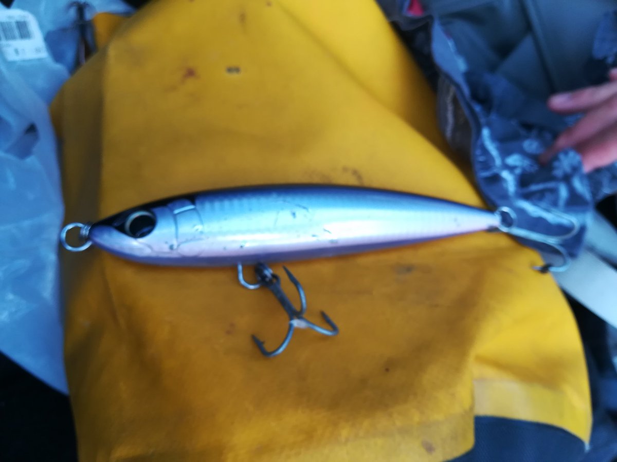 神港つり具 八丈島 中野さん115 5cm12 9kgヒラマサget 八丈島 ルアー ヒラマサ カンパチ ショアマサ トップウォーター 神港つり具 八丈島 中野さん115 5cm12 9kgヒラマサget 八丈島 ルアー ヒラマサ カンパチ ショアマサ トップウォーター