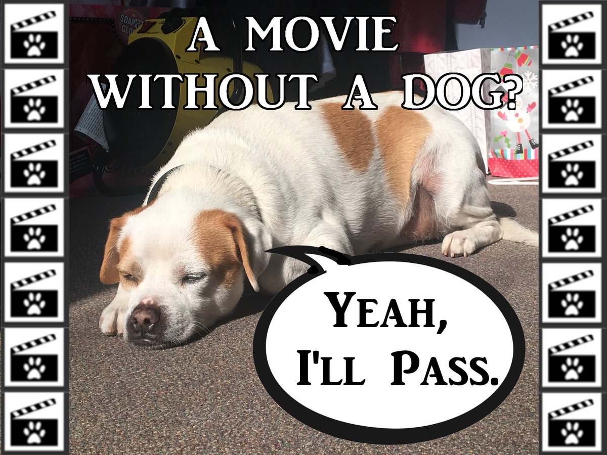 DoesItHaveDogs's tweet image. Them: Want to see a movie with a dog?
Me: Yeah, I'll pass.
kellyram.com/doesithavedogs… …
#DoesItHaveDogs #DIHDMovieReviews #DIHD #MovieReviews #DogsofTwitter #DogsLife #Dogs #Reviews #Movies