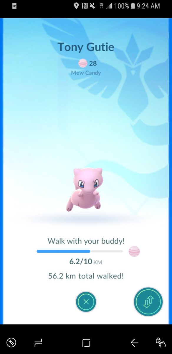 shauns1288's tweet photo. Might keep my Perfect Mew as my Walking Buddy! After all it's my Most Prized Pokemon 😍😍😍💯 Who is your Walking Buddy?  #Retweet 

#PokemonGo #Limit3dArmy #PerfectMew https://t.co/6UQstSDRol