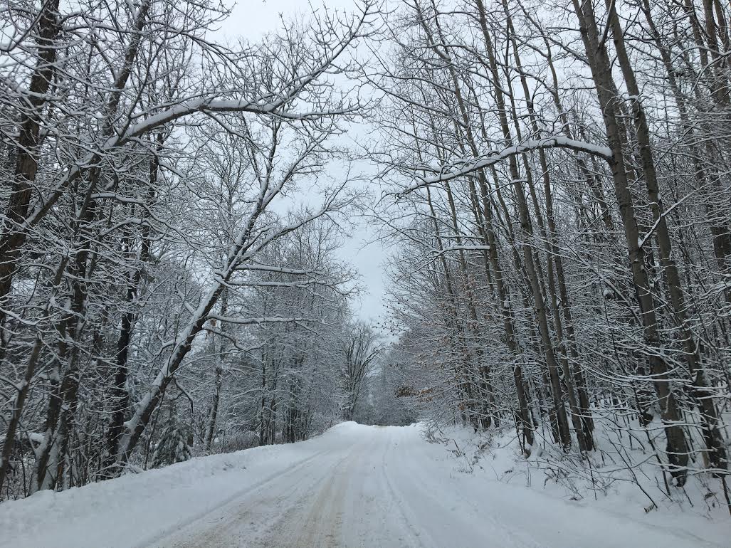 taylorablett's tweet photo. Snowfall warning issued for South #Muskoka - 15 to 20 cm expected by Saturday night with ice pellets mixed in, just for some extra fun! Slow down on the roads tonight, make sure your headlights are on! https://t.co/LjSaoAZmEc