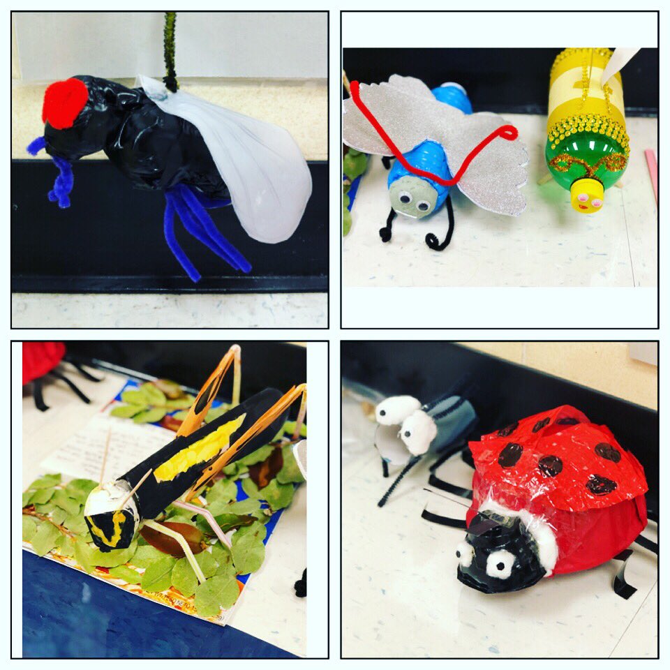 sharainfallad's tweet photo. When learning turns into the perfect salad: insects on science, research process for ELA &amp; using recyclable items for earth day month to build your insect 🙌🏼. #duallanguage #writingunit #secondgrade #crosscurricular @BES_Cowboys #bradfieldsbest https://t.co/bR8GlsYRrP