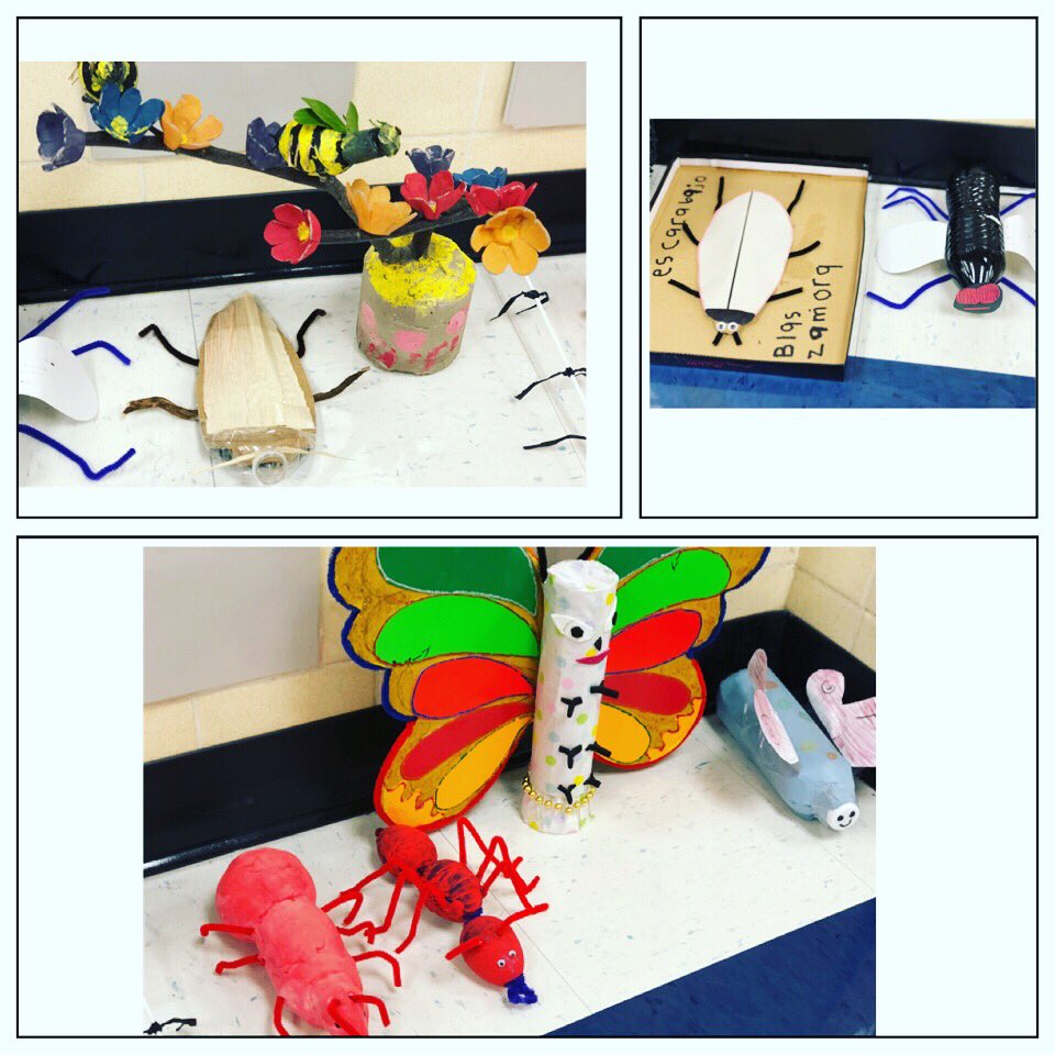 sharainfallad's tweet photo. When learning turns into the perfect salad: insects on science, research process for ELA &amp; using recyclable items for earth day month to build your insect 🙌🏼. #duallanguage #writingunit #secondgrade #crosscurricular @BES_Cowboys #bradfieldsbest https://t.co/bR8GlsYRrP