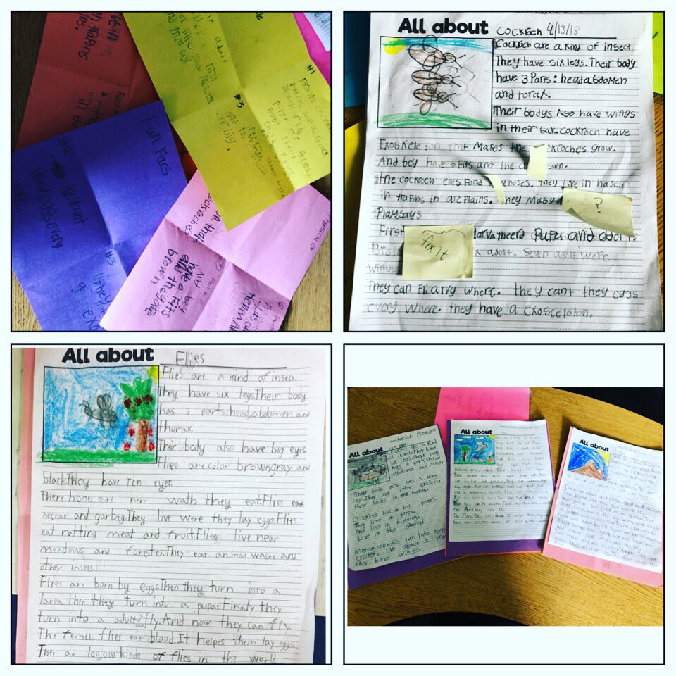sharainfallad's tweet photo. When learning turns into the perfect salad: insects on science, research process for ELA &amp; using recyclable items for earth day month to build your insect 🙌🏼. #duallanguage #writingunit #secondgrade #crosscurricular @BES_Cowboys #bradfieldsbest https://t.co/bR8GlsYRrP
