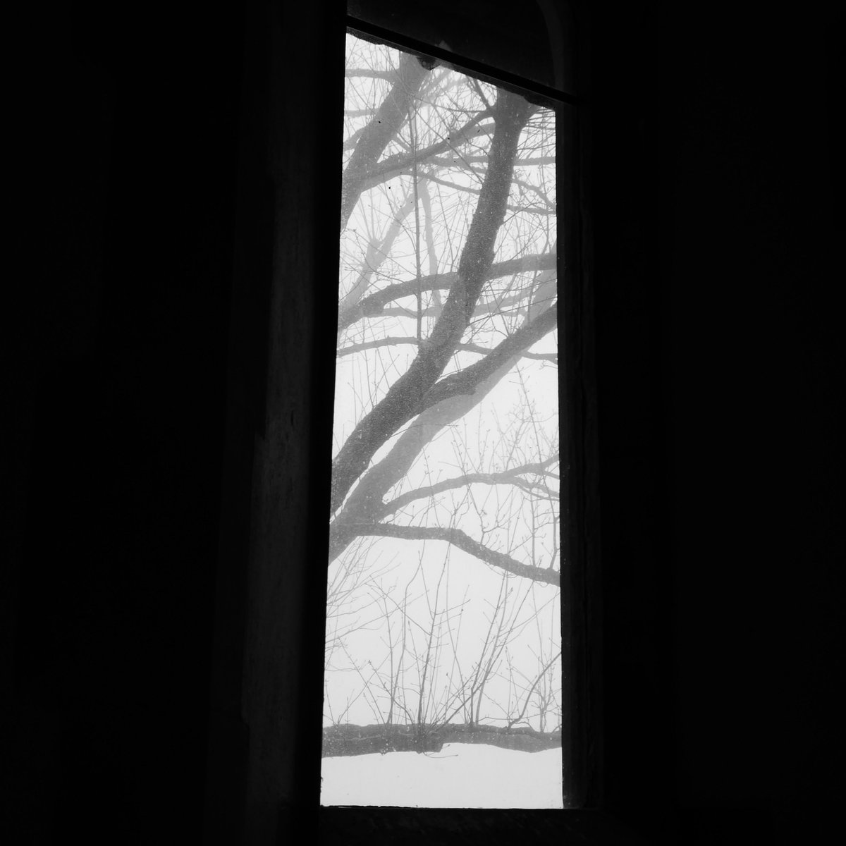 The fog seemed to press its nose to the windows.