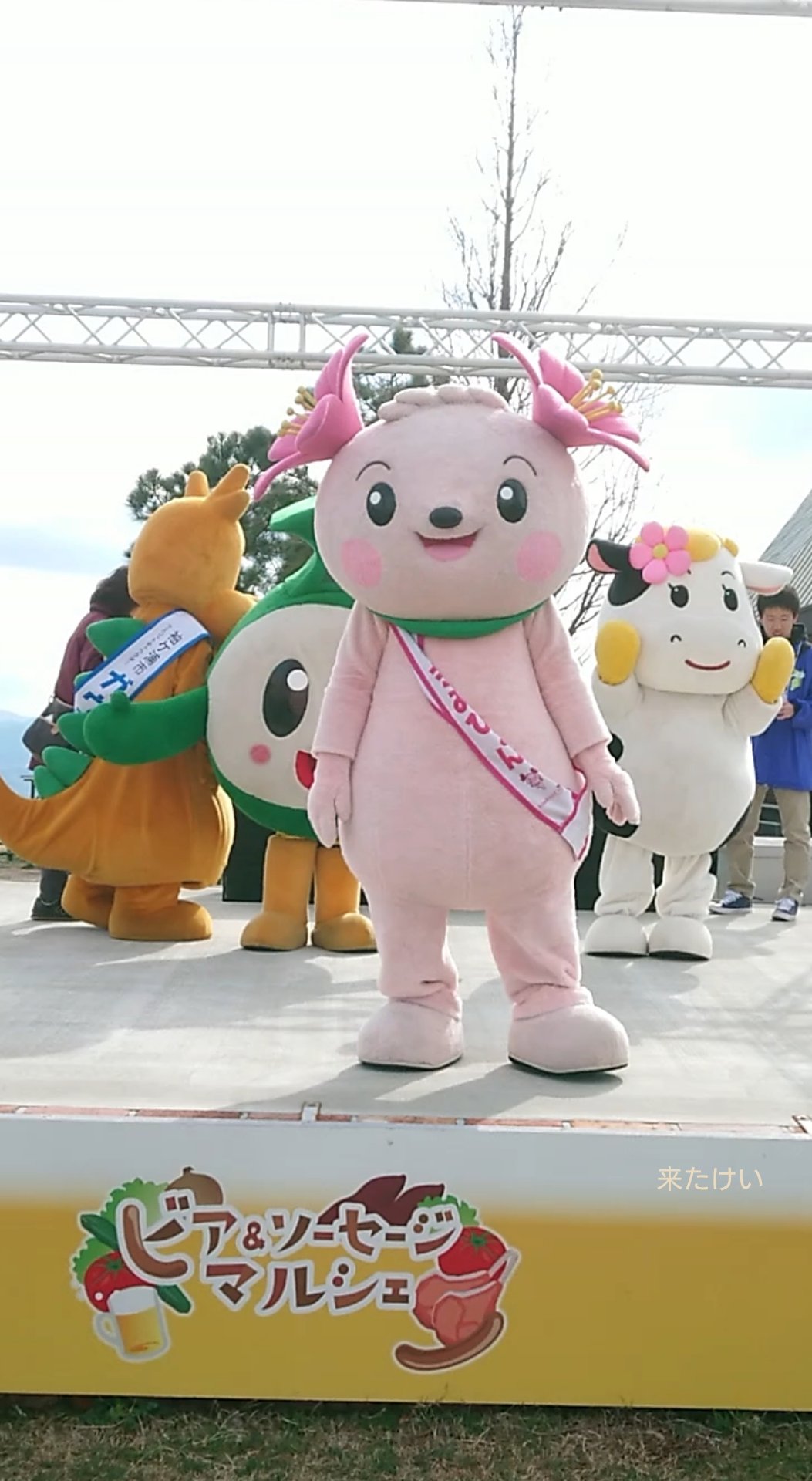 来たけい マーモママの トートバッグ と マーモママのぬいぐるみ 色んなサイズのマーモママと あとご家族のグッズも出るといいですね マーモママ マザー牧場 T Co Adpdal2c37 Twitter