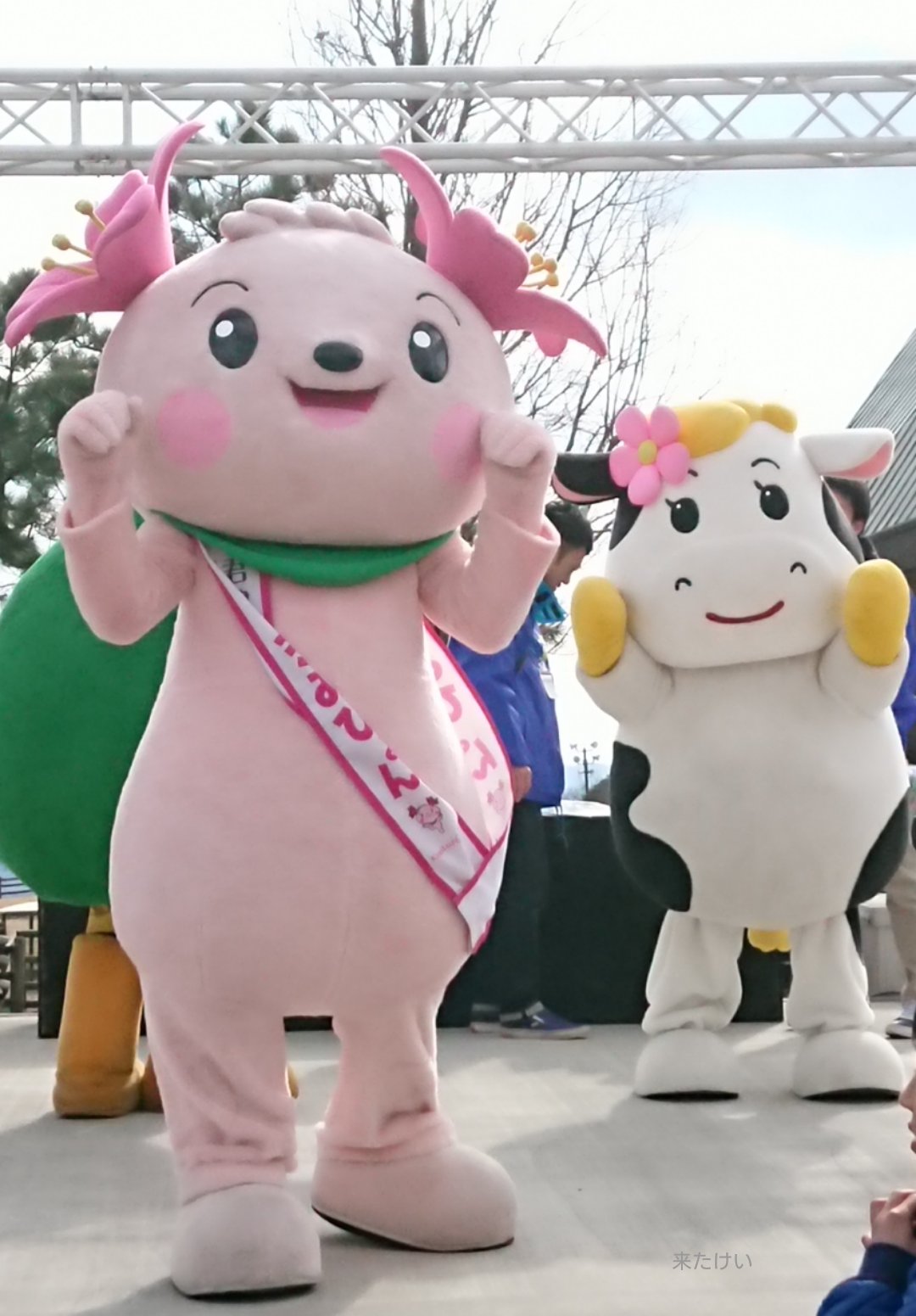 来たけい マーモママの トートバッグ と マーモママのぬいぐるみ 色んなサイズのマーモママと あとご家族のグッズも出るといいですね マーモママ マザー牧場 T Co Adpdal2c37 Twitter