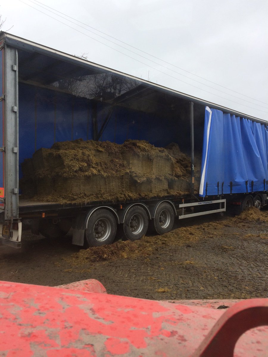 david_mcelheran's tweet photo. Loaded 2 lorries with silage today for a co-op in the sunny southeast #FodderCrisis https://t.co/sZxR3CHXFJ