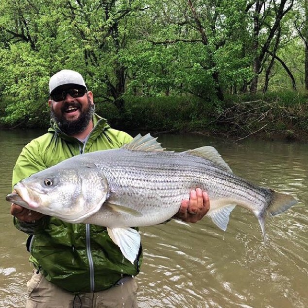 WaltersFlyRods's tweet photo. Sam Bailey putting the 9' 6WT demo through the ringer | Photo: East Alabama Fly Fishing  #waltersflyrods #tuckaseegee6wt https://t.co/SF5MbCPyX1
