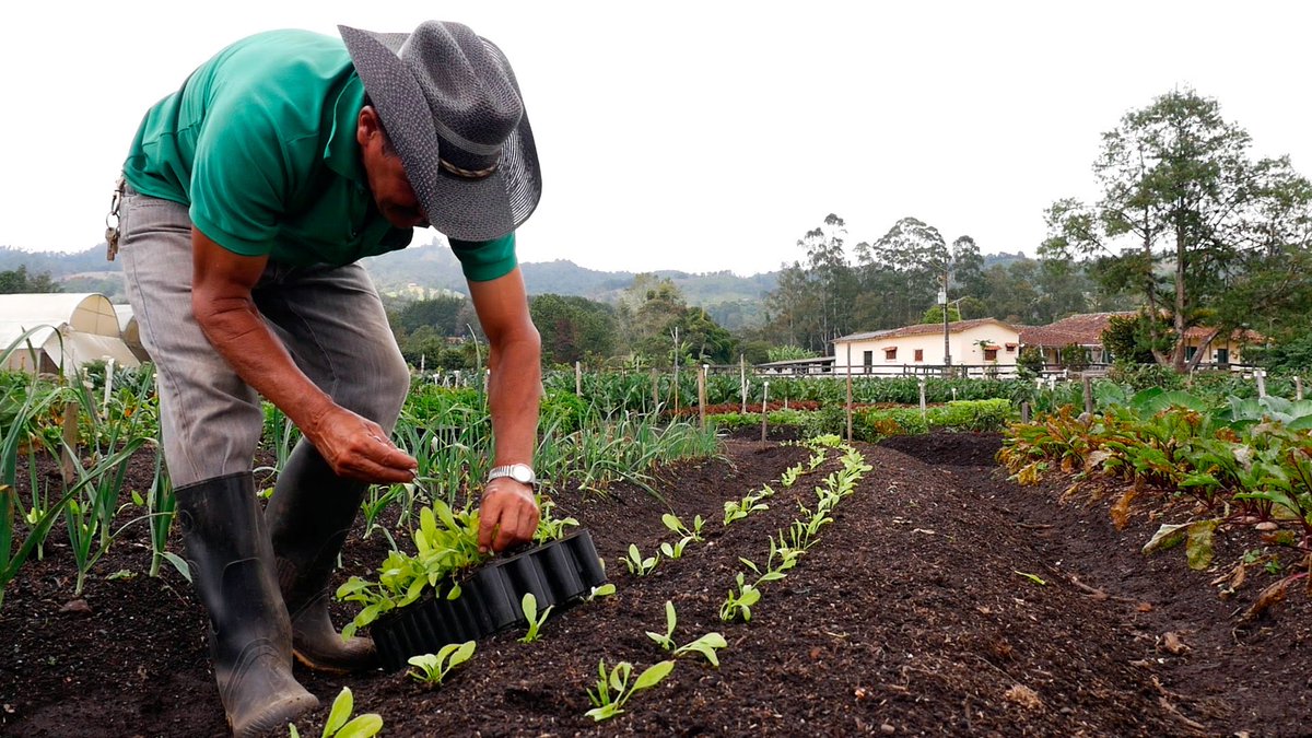 Para mí tiene más valor un campesino cultivando la tierra que un político prometiendo salir de esta guerra económica. Es más eficaz el primero que el segundo, ya que mientras uno promete y promete, el otro hace.
Basta de demagogia, en serio.

#13ALealtadCívicoMilitar